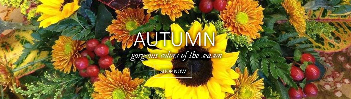 Autumn