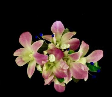 Dendrobium Orchid Wrist Corsage